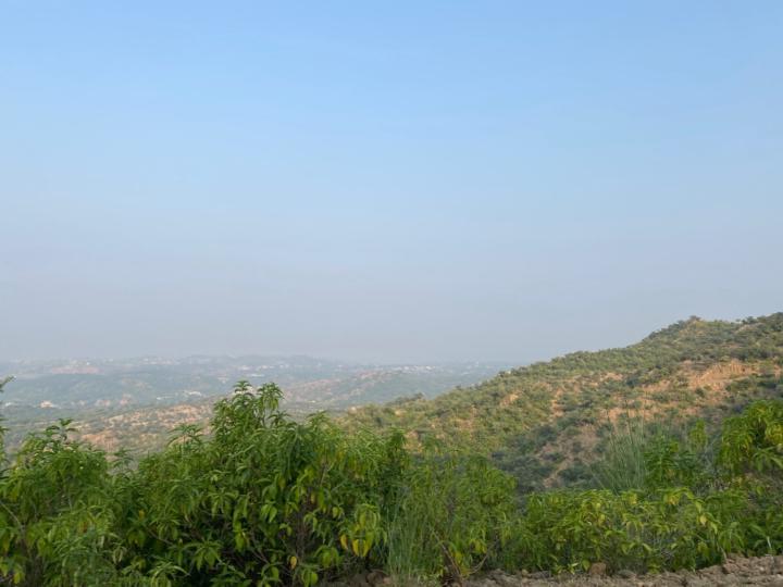 Shoheb S