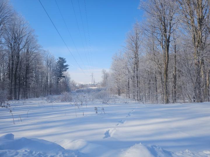 Allison Joseph patrick