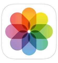 Miriam Amores correa