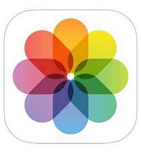 Miriam Amores correa