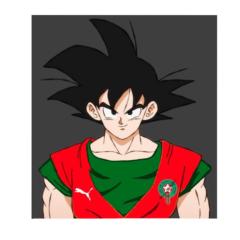 Sofiane Bel