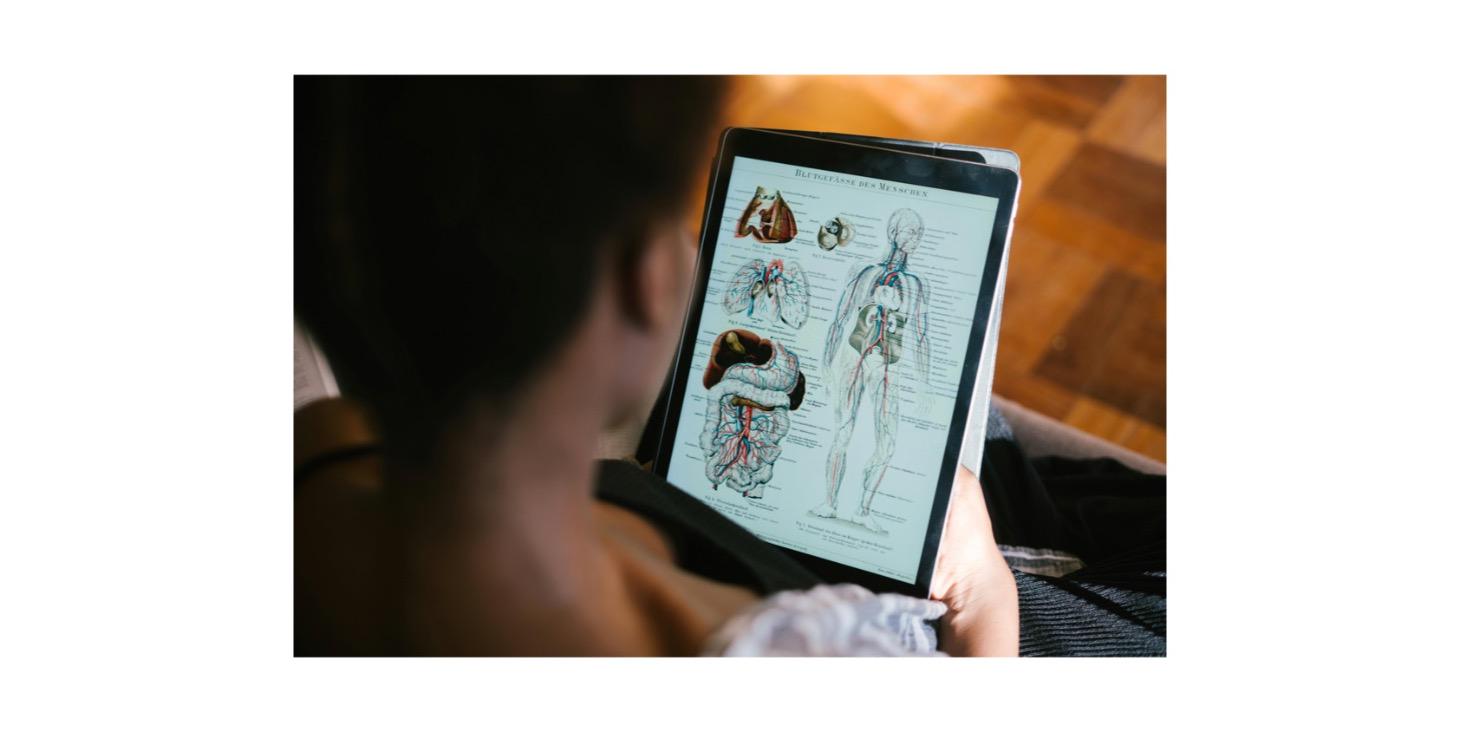 ANATOMIE  ET FONCTIONNEMENT DU CORPS HUMAIN