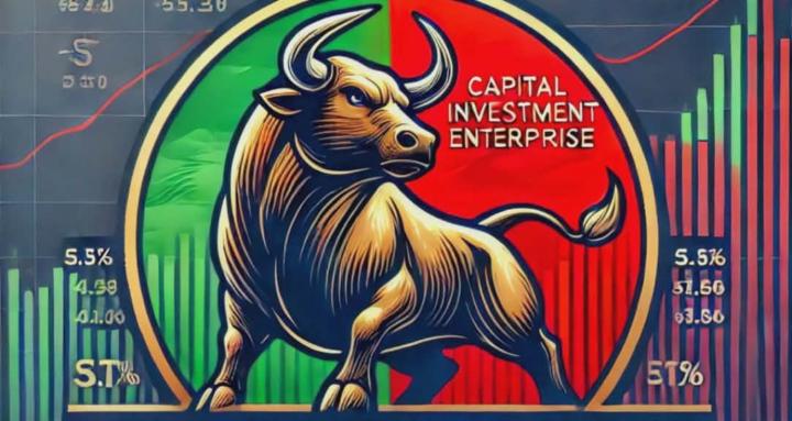 Capital Investment Enterprise