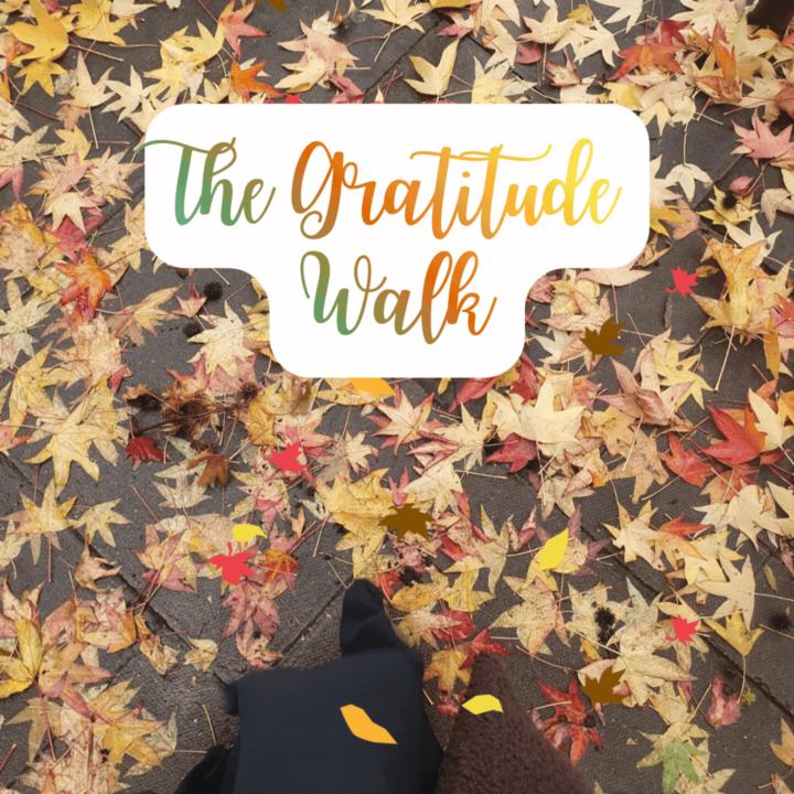 Just Launched: The Gratitude Walk 👟✨🐾