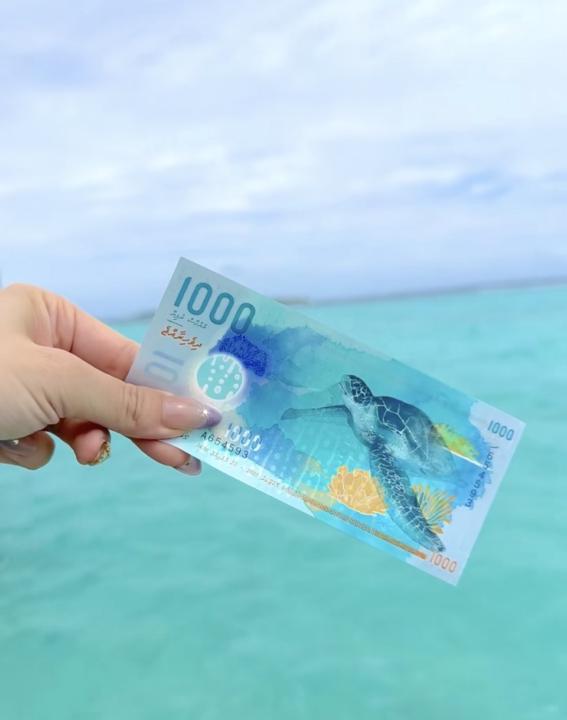 鯨鯊幣代購來囉～最美貨幣盧菲亞