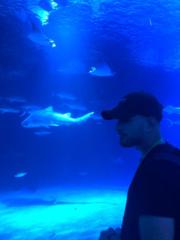 Leandro Fontela Soares