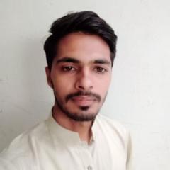 Amir Saleem