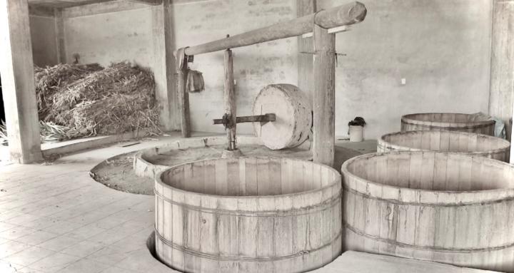 Bev Brand Ambassadors