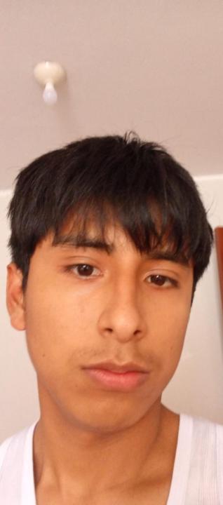 Aldair Palomino mascco