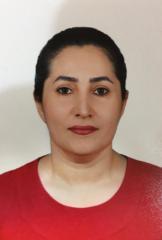 Marzieh Mokhberi
