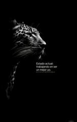 Orlando Garcia Hernandez