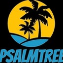 Psalmtree CEO Mastery