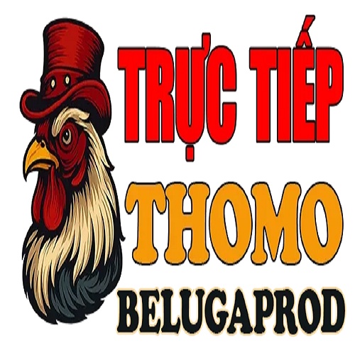Đá gà trực tiếp Thomo hôm nay