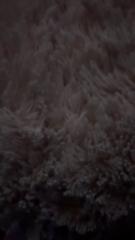 Aurora karina Jimenez navarrete