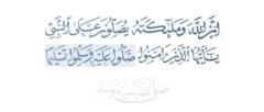 Hidis M