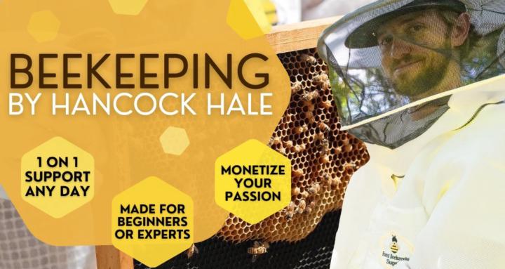 Beekeeping by Hancock Hale