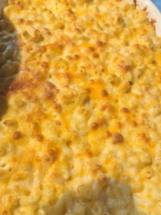 Skool Newbie 🙋🏽‍♀️