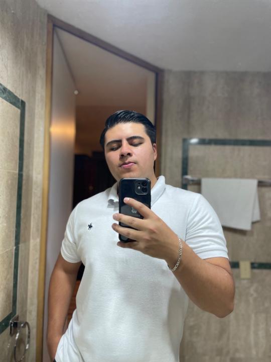 Luis Andres Licona Molina