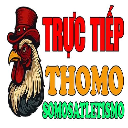Đá gà trực tiếp Thomo hôm nay