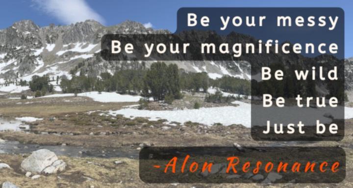 Alon Resonance, LLC
