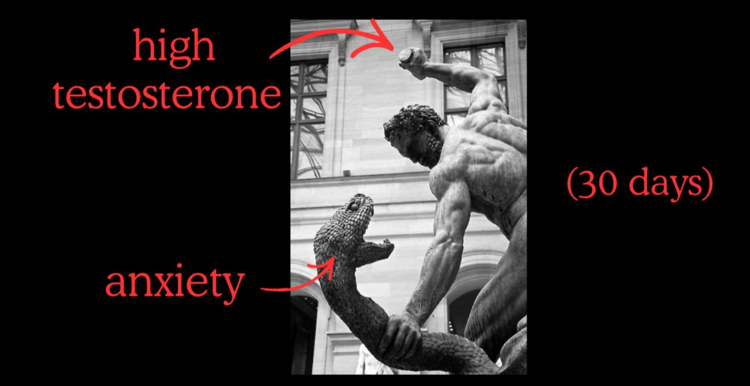 Anxiety & Testosterone Reset