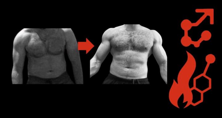 THE TESTOSTERONE BLUEPRINT