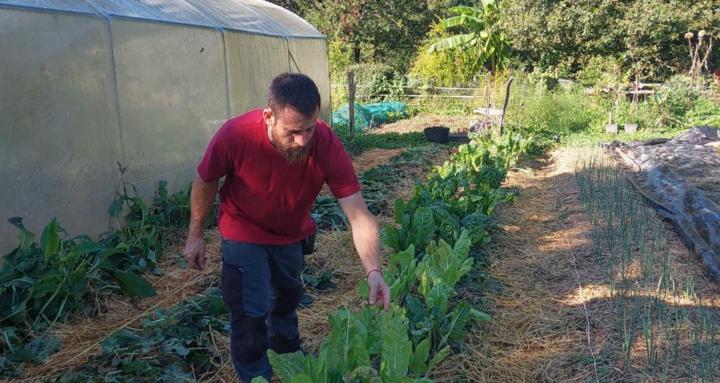 Birika permakultura Taldea