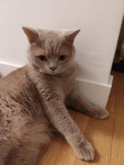 Etienne Decaestecker