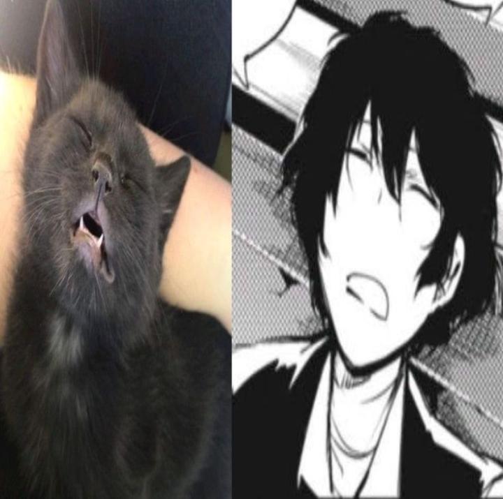 Gabriel Kiro Lopez Trila