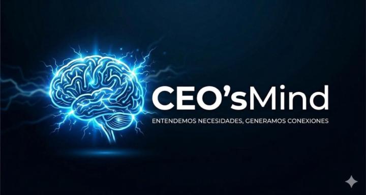 CEO's Mind