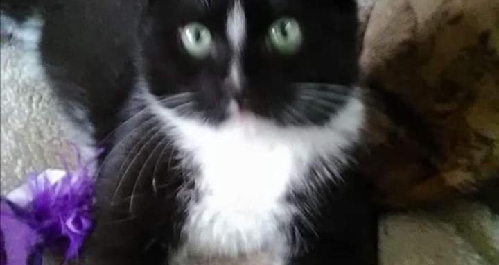 Tina's Shack Of Deals