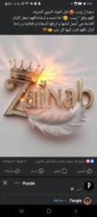 Zeinab Samy
