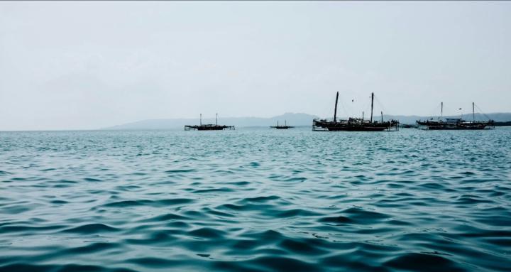 The Fleet