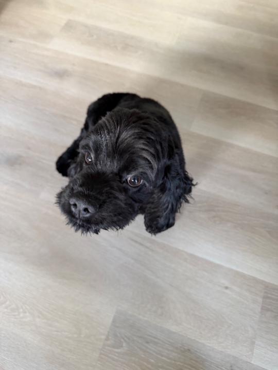 Steve and Paula Arndt