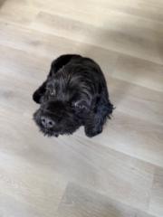 Steve and Paula Arndt