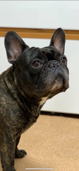 コタロー ナカザト