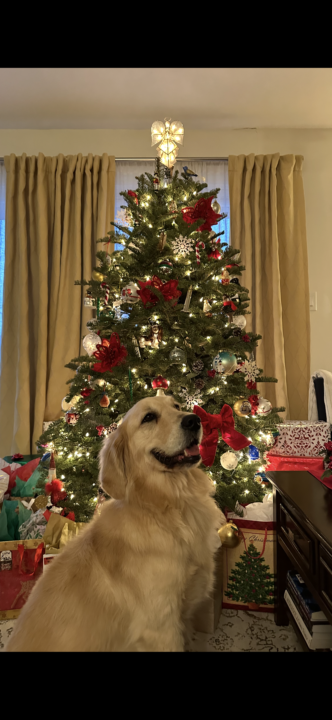 ¡Feliz Navidad!