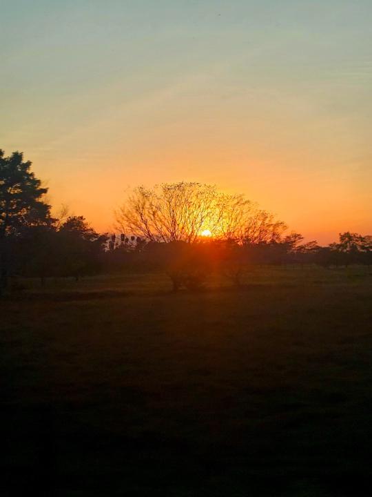 Maria patricia Salazar mejia