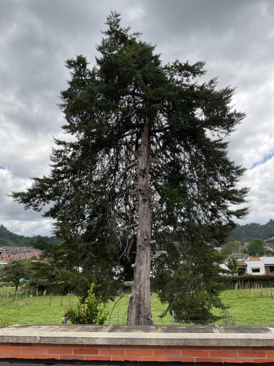 Maria patricia Salazar mejia