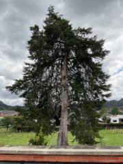 Maria patricia Salazar mejia