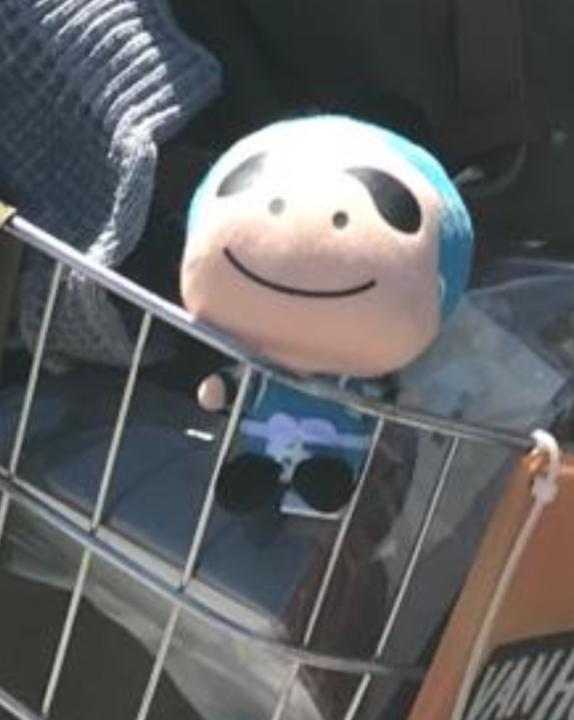 A Kam