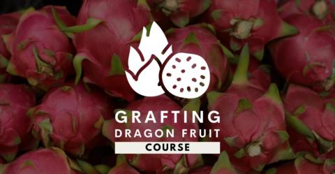 Growing Dragon Fruit Class gallery image