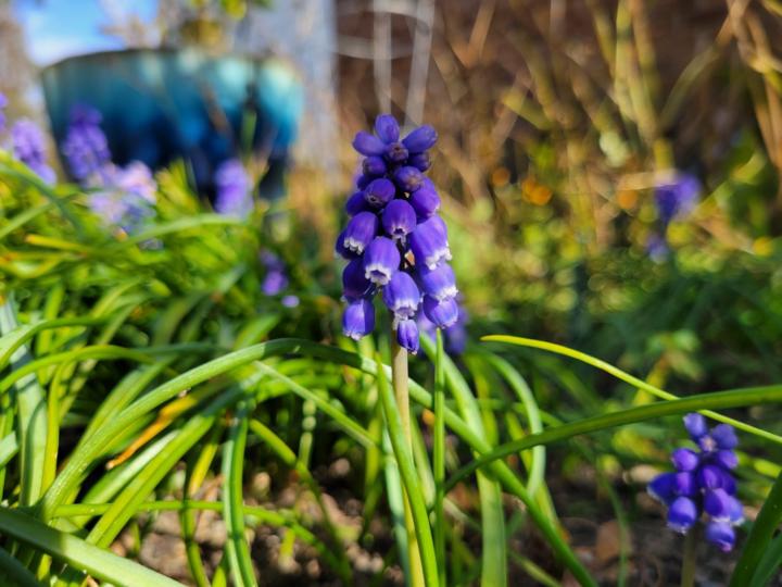 Anna-Leigh McClelland