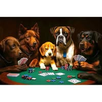 Diego Fernando Celorrio