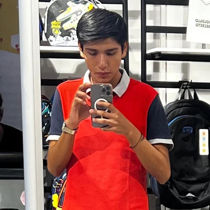 Ronny Enrique Choque Rojas