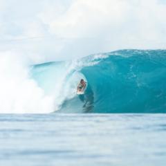 Jono Elwell