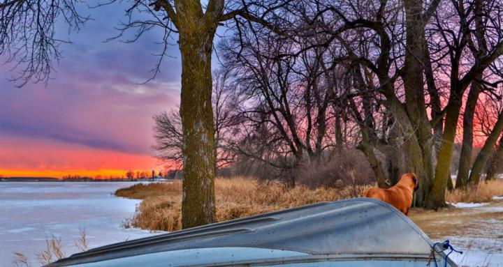 Parent & Student Success Hub