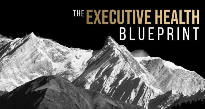 Executive Health Blueprint