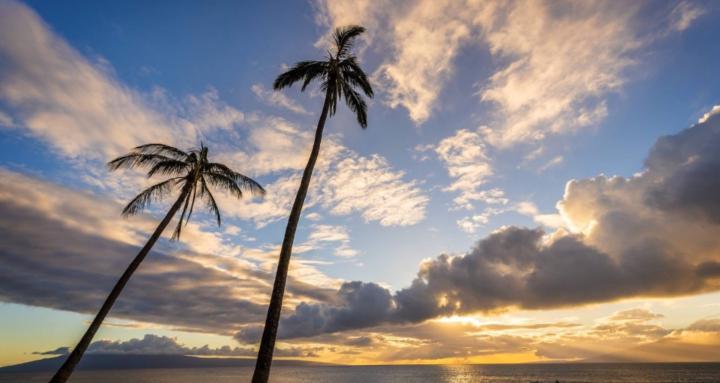 Meander Towards Greatness