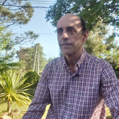 Horacio Borrat